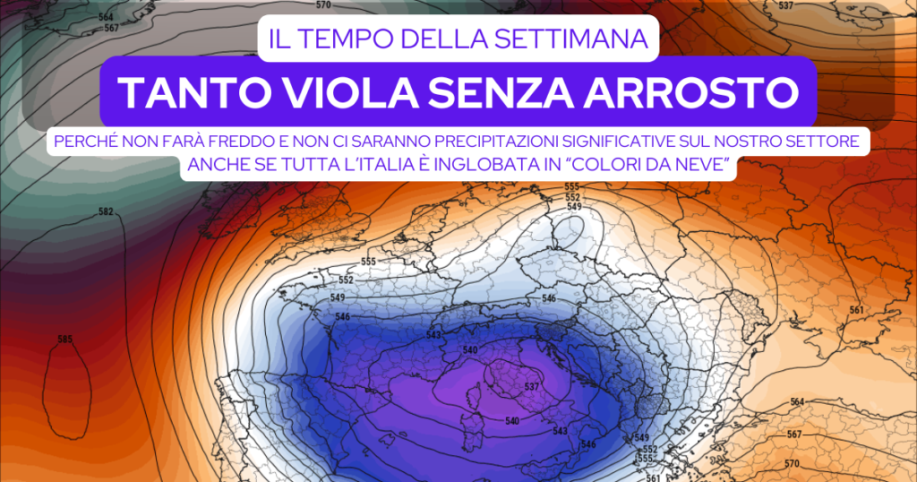 Tanto viola senza arrosto