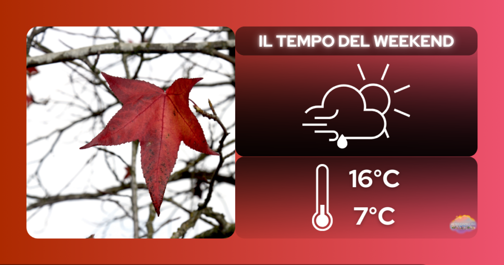 Weekend 14-15 dicembre