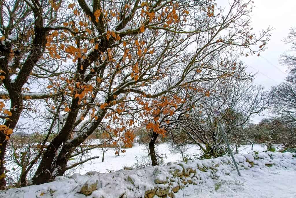 La neve su Castellana